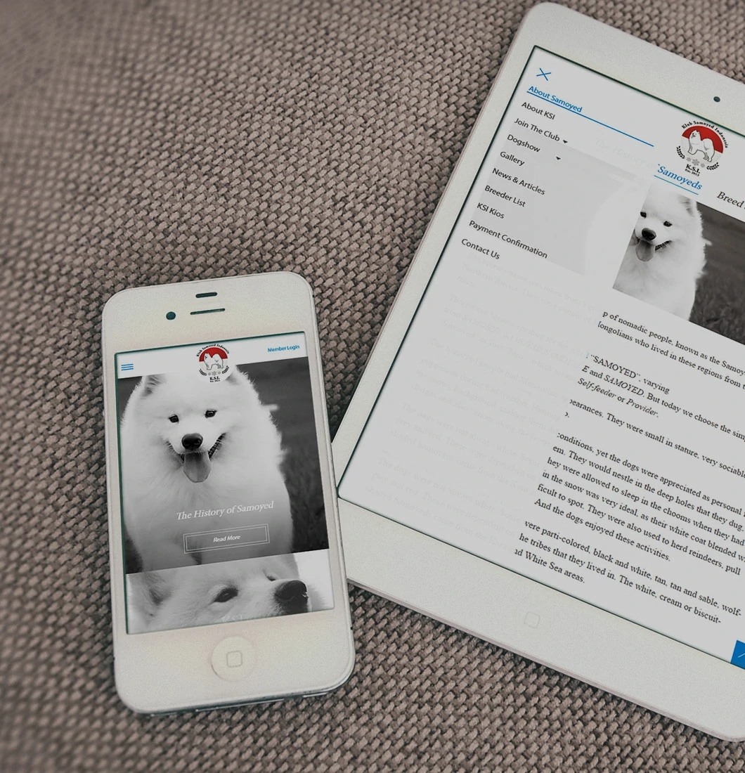 Klub Samoyed Indonesia