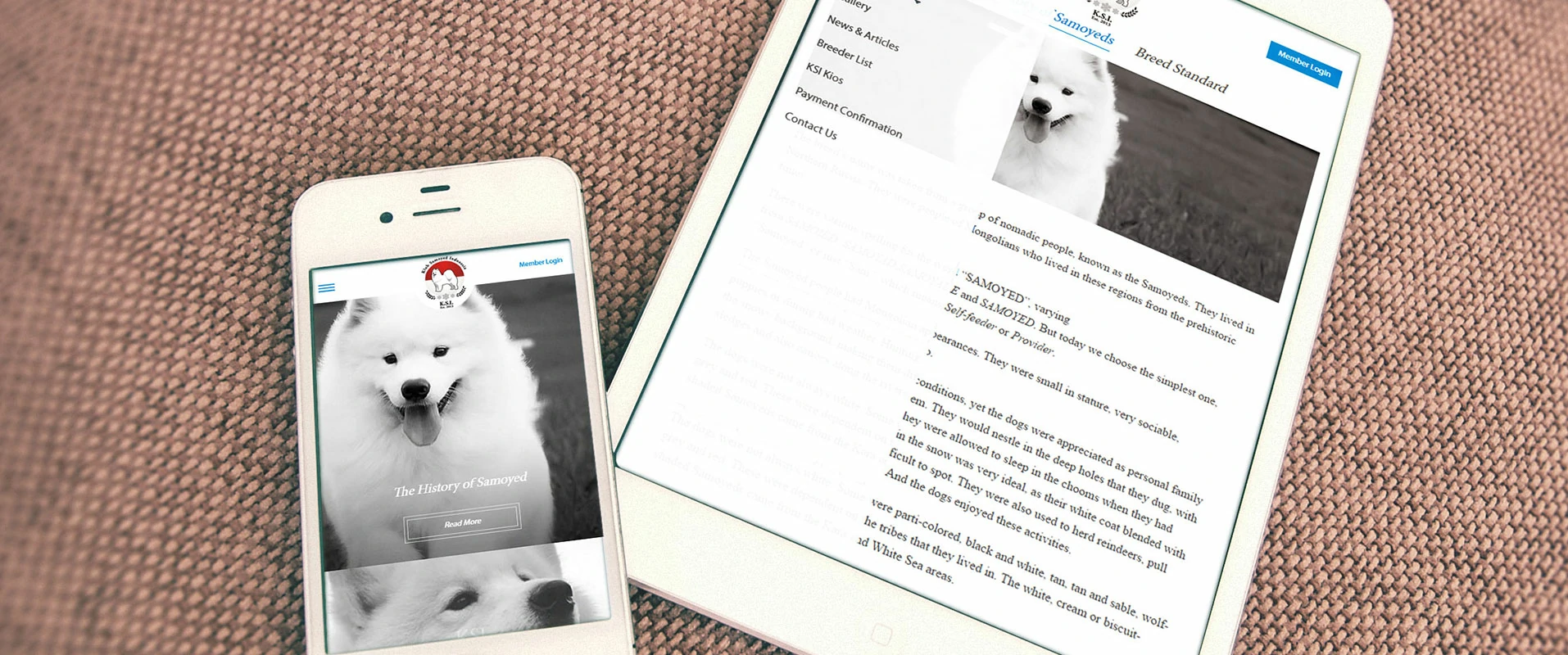 KLUB SAMOYED INDONESIA