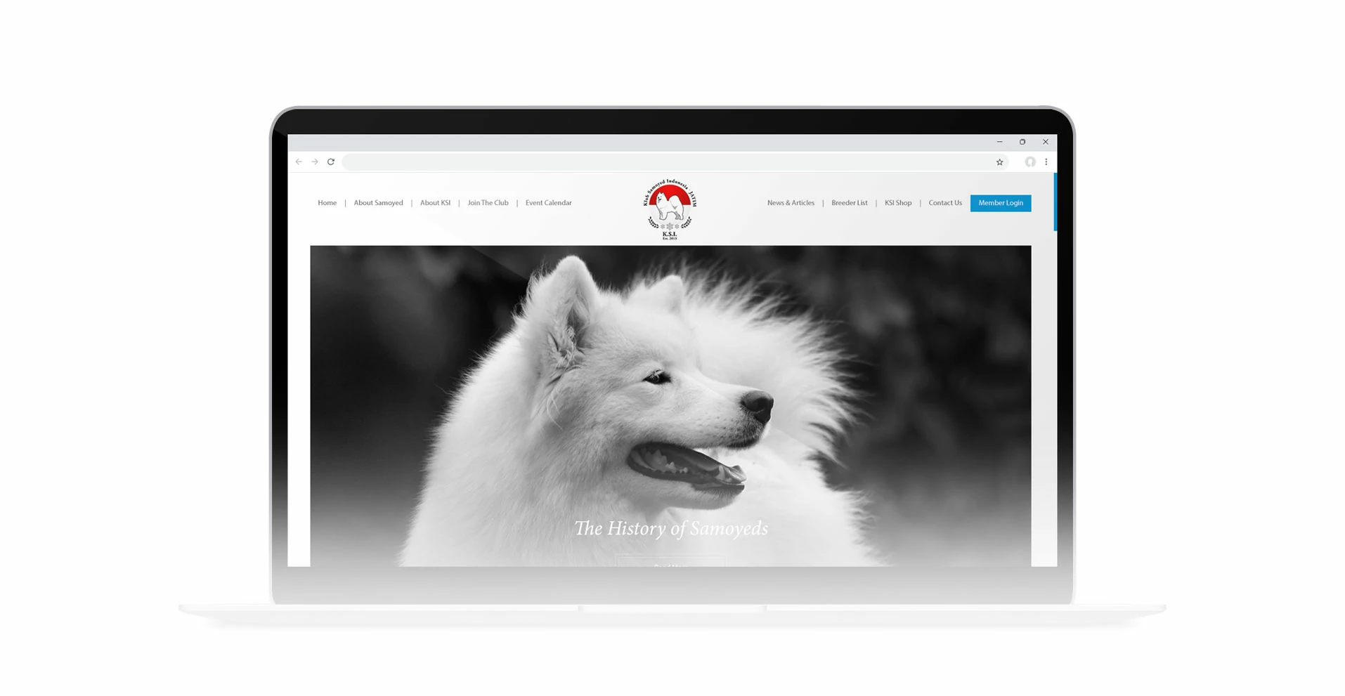 KLUB SAMOYED INDONESIA